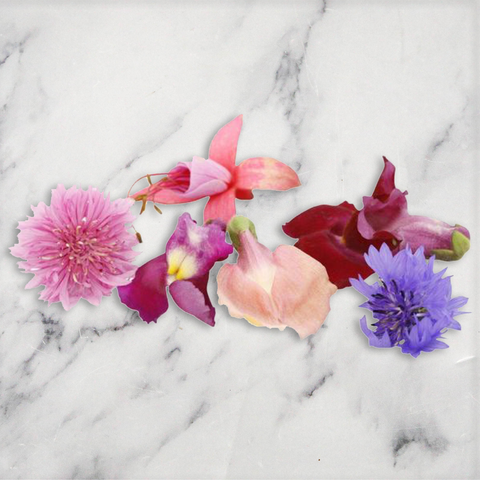 Edible Flower Seasonal Mix, 1 x Punnet