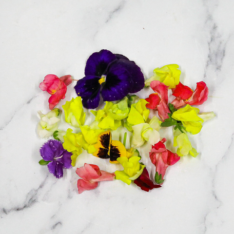 Edible Flower Seasonal Mix, 1 x Punnet