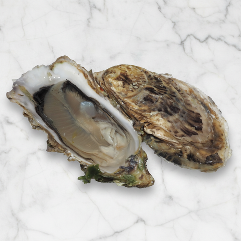 Fine Claire Oysters, Fresh, x 24 Reach Food Service Ltd IB-1F2H-VKFV