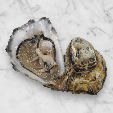Maldon Oysters, Fresh, x 25 Reach Food Service Ltd L8-N2TX-KVGW