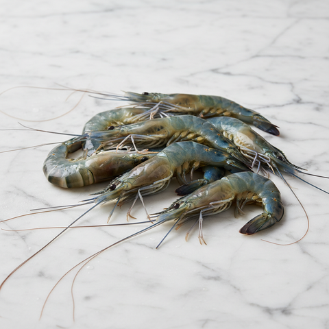 Obsiblue Prawns, Sashimi Grade, Frozen, 500g (11/12 Pcs) Reach Food Service Ltd SEAF-SPSH-0002691-148