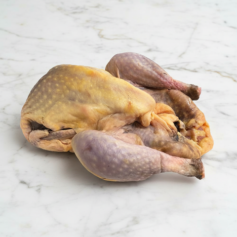 Oven-Ready Guinea Fowl, +/-1.5kg HG Walter SPEPO-GAME-0001704-147