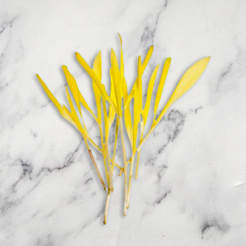 Popcorn Shoot Micro, 30g Nature's Choice Ltd GRGR-MIHE-0001421-147