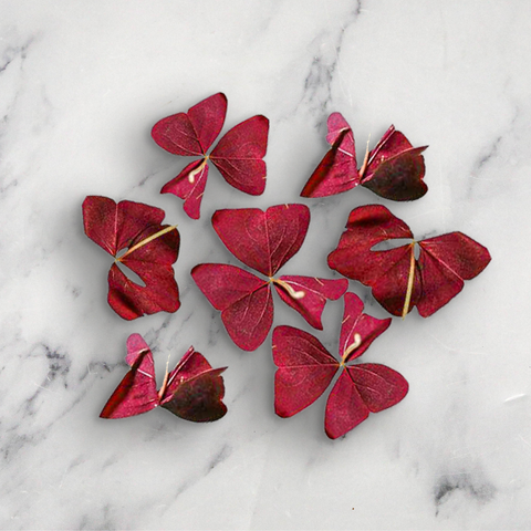 Red Butterfly Sorrel Nature's Choice Ltd GRGR-EDFL-0001795-147