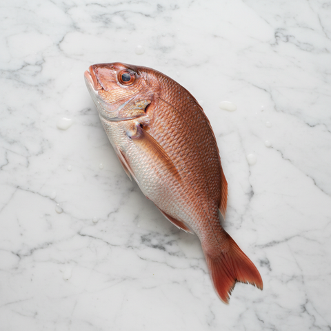 Red Snapper, Fresh, 2-3kg Reach Food Service Ltd SEAF-FRFI-022-redsnapper2-3