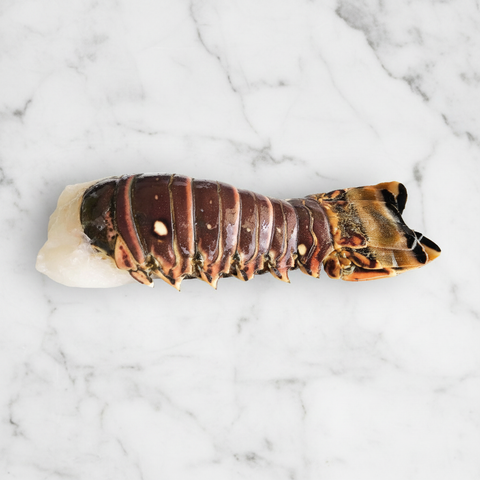 Rock Lobster Tail, Frozen, +/-220g Reach Food Service Ltd SEAF-SPSH-04-rocklobstertail