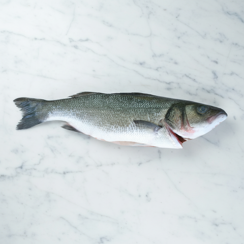 Sea Bass, Fresh, 2-3kg Reach Food Service Ltd SEAF-FRFI-000-35776-147-2-3