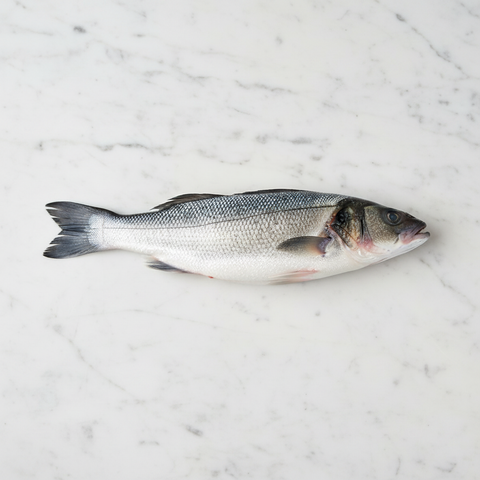 Sea Bass, Fresh, 1-2kg