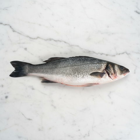 Sea Bass on white marble