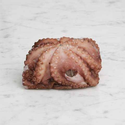 Spanish Octopus, Raw, Frozen, 1-2kg