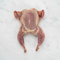 Spatchcocked Quail, Fresh, x 4 HG Walter MEPO-SPPO-0002104110-147