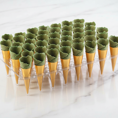 Savoury Fillable Basil Mini Canape Cones, x 45 Classic Fine Foods UK Ltd 4P-9BVA-FPNM