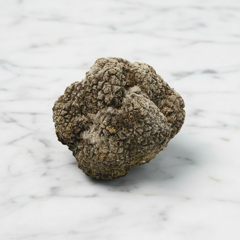 Summer Truffle, Frozen, +/-100g Fine Food Specialist