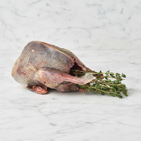 Tender Young Grouse, Oven-Ready, Fresh x 2 HG Walter MEPO-SPEPO-0000719-148