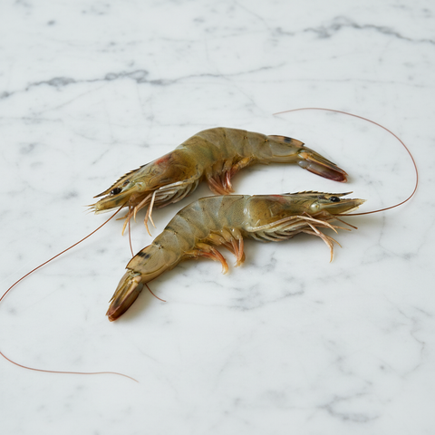 Tiger Prawns, Fresh, 2kg (20/30 per kg) Reach Food Service Ltd SEAF-SPSH-0000545-147