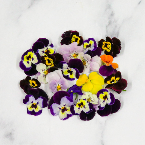 Viola Flowers, Edible, 1 x Punnet Nature's Choice Ltd GRGR-EDFL-0001169-147